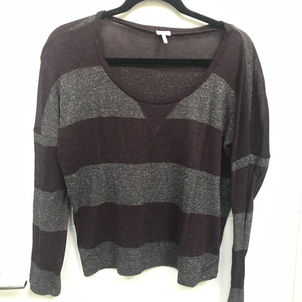 Splendid Purple Silver Glitter Stripe Cropped Top